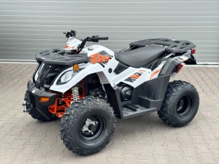 Quad Spalinowy Kayo AU300 T3B