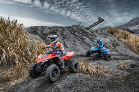 Quad CFMOTO CFORCE 110