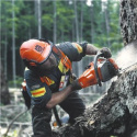 Husqvarna 565 Husqvarna 565
