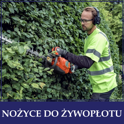 NOZYCE-DO-ZYWOPLOTU.png
